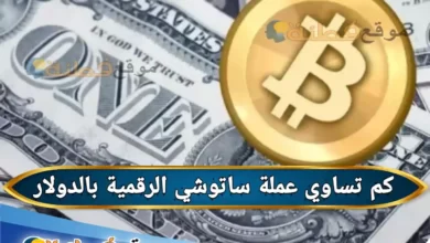 كم تساوي عملة ساتوشي الرقمية بالدولار