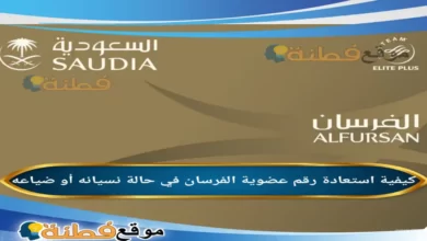 كيف استرجع اذا نسيت رقم عضوية الفرسان