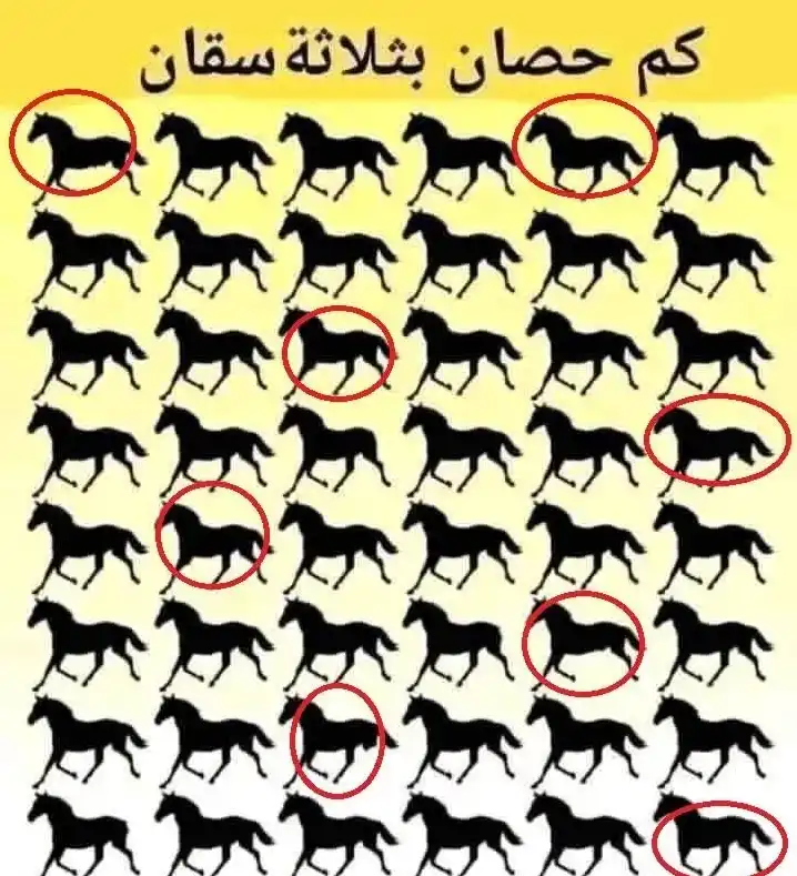 كم حصان بثلاثة سقان
