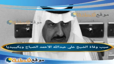 من هو الشيخ علي عبدالله الأحمد الصباح ويكيبيديا السيرة الذاتية