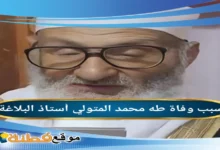 من هو طه محمد المتولي ويكيبيديا السيرة الذاتية