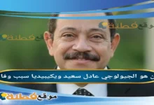 عادل سعيد: السيرة الذاتية (ويكيبيديا)