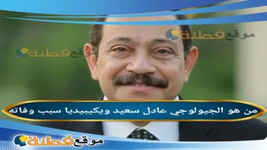 عادل سعيد: السيرة الذاتية (ويكيبيديا)