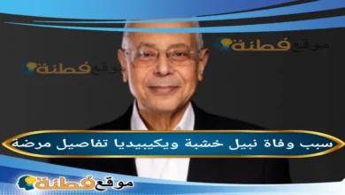 من هو نبيل خشبة: السيرة الذاتية ويكيبيديا 