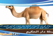 أي من الأصوات التالية يعد صوت الراعي المميز الذي تتبعه الإبل إلى المرعى أو عند العودة إلى أماكنها