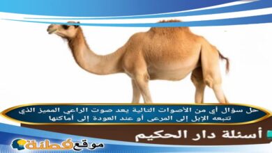 أي من الأصوات التالية يعد صوت الراعي المميز الذي تتبعه الإبل إلى المرعى أو عند العودة إلى أماكنها