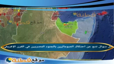 نتج عن احتكاك الصوماليين بالجنود المصريين في القرن الإفريقي
