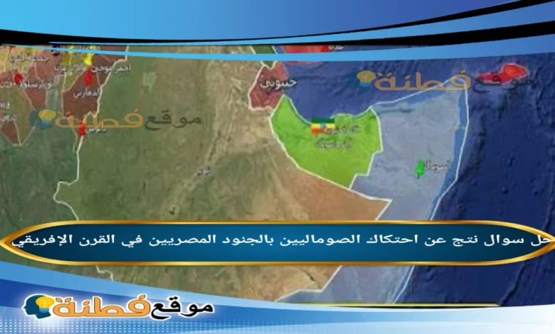 نتج عن احتكاك الصوماليين بالجنود المصريين في القرن الإفريقي