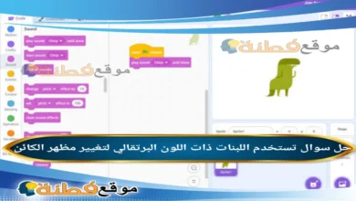 تستخدم اللبنات ذات اللون البرتقالي لتغيير مظهر الكائن