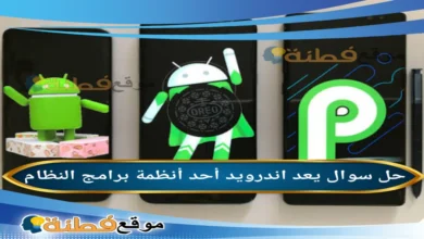 يعد اندرويد أحد أنظمة برامج النظام