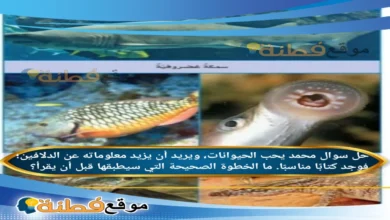 محمد يحب الحيوانات، ويريد أن يزيد معلوماته عن الدلافين؛ فوجد كتابًا مناسبًا. ما الخطوة الصحيحة التي سيطبقها قبل أن يقرأ؟