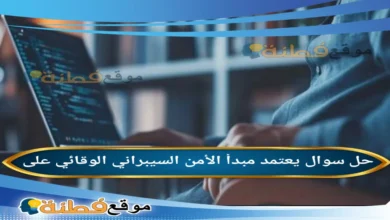 يعتمد مبدأ الأمن السيبراني الوقائي على