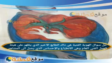 الهوية الفنية هي ذاك الطابع الأخير الذي يظهر على هيئة العمل الفني العام وهي الانطباع والإحساس الذي يصل الى المشاهد