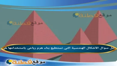 الأشكال الهندسية التي نستطيع بناء هرم رباعي باستخدامها هي