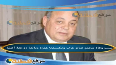 من هو محمد صابر عرب ويكيبيديا سبب وفاته وأبرز المعلومات عنه