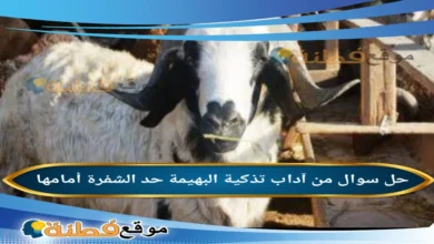 من آداب تذكية البهيمة حد الشفرة أمامها