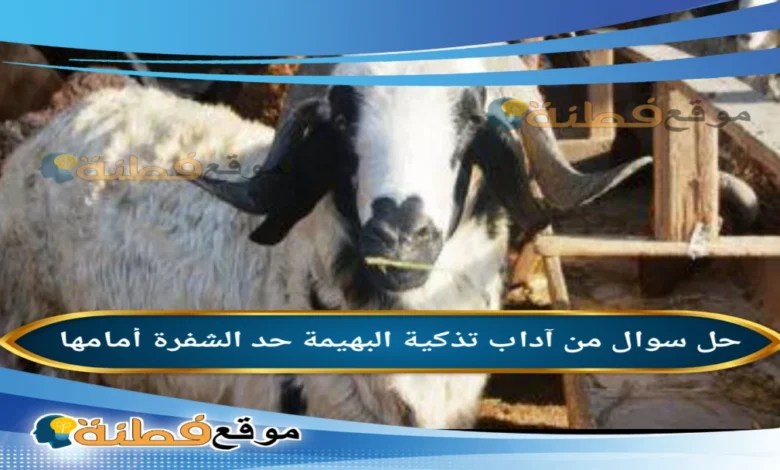 من آداب تذكية البهيمة حد الشفرة أمامها