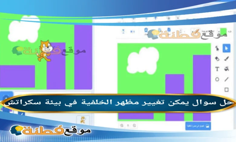 يمكن تغيير مظهر الخلفية في بيئة سكراتش