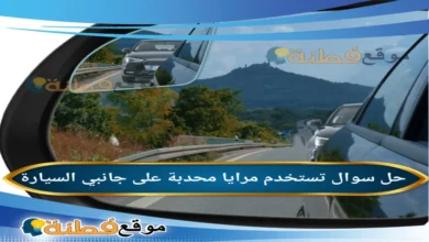 تستخدم مرايا محدبة على جانبي السيارة