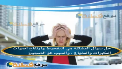 المشكلة هي التفحيط وارتفاع أصوات المكبرات والمذياع ، والسبب هو الضجيج.