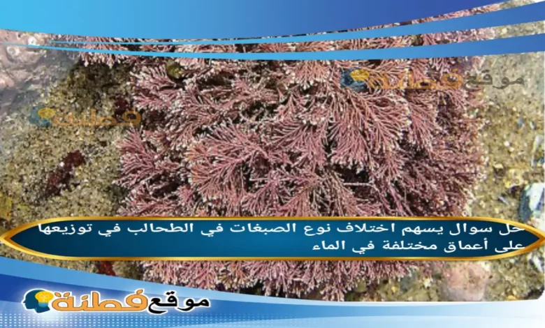 يسهم اختلاف نوع الصبغات في الطحالب في توزيعها على أعماق مختلفة في الماء.