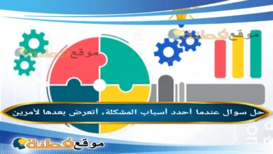 عندما أحدد أسباب المشكلة، أتعرض بعدها لأمرين