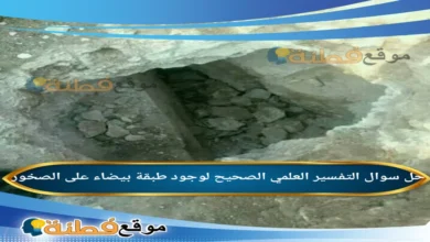 التفسير العلمي الصحيح لوجود طبقة بيضاء على الصخور