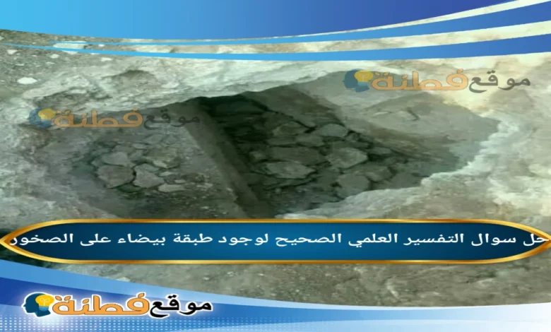 التفسير العلمي الصحيح لوجود طبقة بيضاء على الصخور