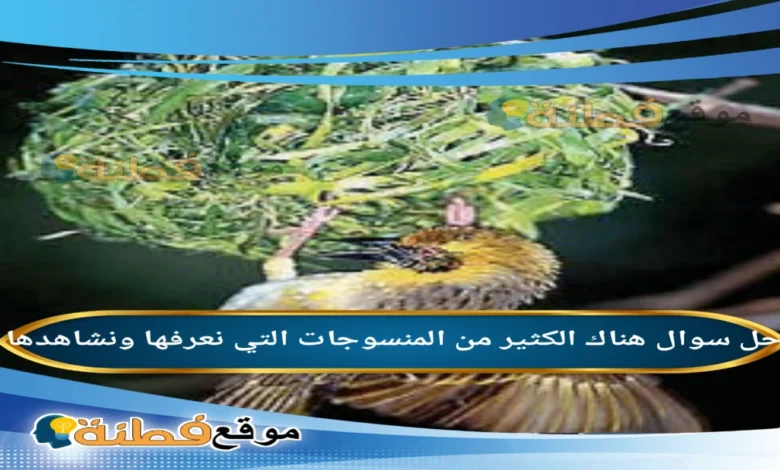 هناك الكثير من المنسوجات التي نعرفها ونشاهدها