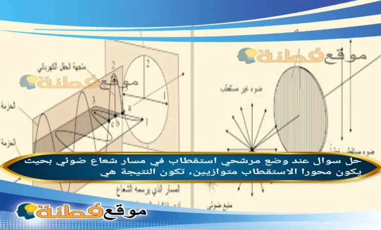 عند وضع مرشحي استقطاب في مسار شعاع ضوئي بحيث يكون محورا الاستقطاب متوازيين، تكون النتيجة هي
