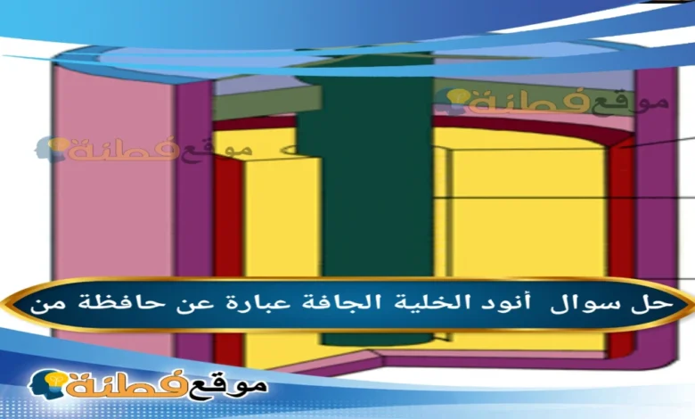 أنود الخلية الجافة عبارة عن حافظة من