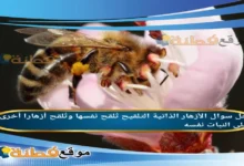 الأزهار الذاتية التلقيح تُلقح نفسها وتُلقح أزهارا أخرى على النبات نفسه.