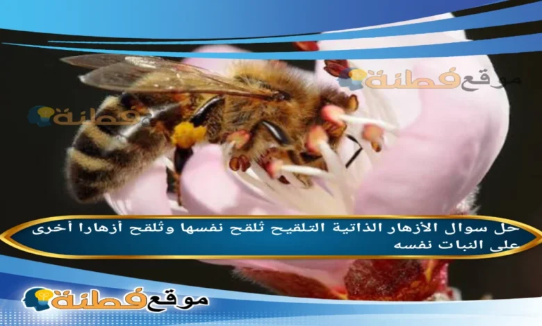 الأزهار الذاتية التلقيح تُلقح نفسها وتُلقح أزهارا أخرى على النبات نفسه.