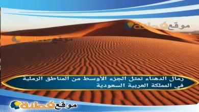 رمال الدهناء تمثل الجزء الأوسط من المناطق الرملية في المملكة العربية السعودية