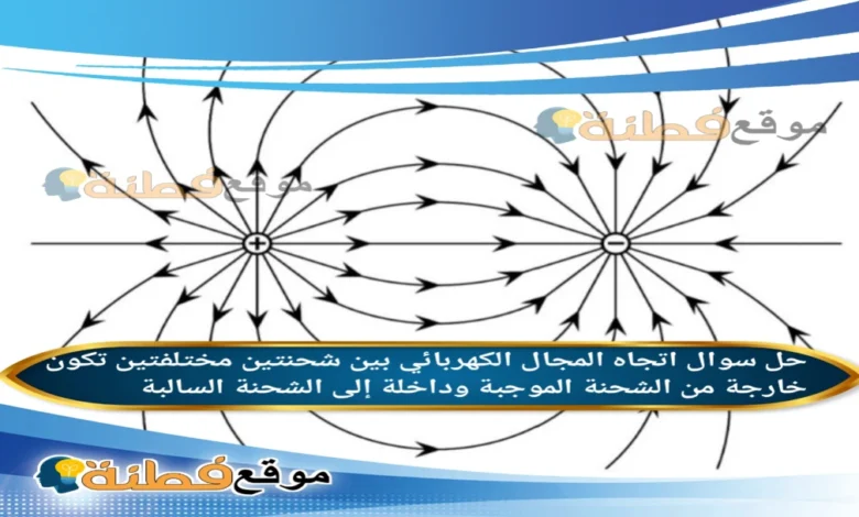 اتجاه المجال الكهربائي بين شحنتين مختلفتين تكون خارجة من الشحنة الموجبة وداخلة إلى الشحنة السالبة