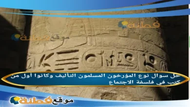 نوع المؤرخون المسلمون التأليف وكانوا أول من كتب في فلسفة الاجتماع