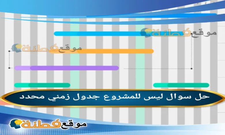 ليس للمشروع جدول زمني محدد