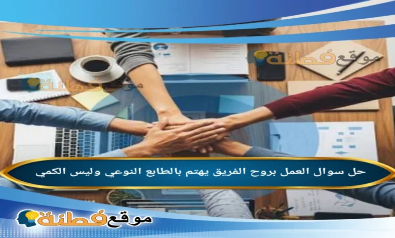 العمل بروح الفريق يهتم بالطابع النوعي وليس الكمي