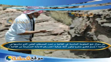 ضع المعلومة المناسبة في القائمة ب تحت المصطلح العلمي الذي يُناسبها في القائمة أ جسم فطري يتفرع ليكون كتلة شبكية اختر رقم الاجابة الصحيحة من القائمة ب