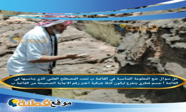 ضع المعلومة المناسبة في القائمة ب تحت المصطلح العلمي الذي يُناسبها في القائمة أ جسم فطري يتفرع ليكون كتلة شبكية اختر رقم الاجابة الصحيحة من القائمة ب