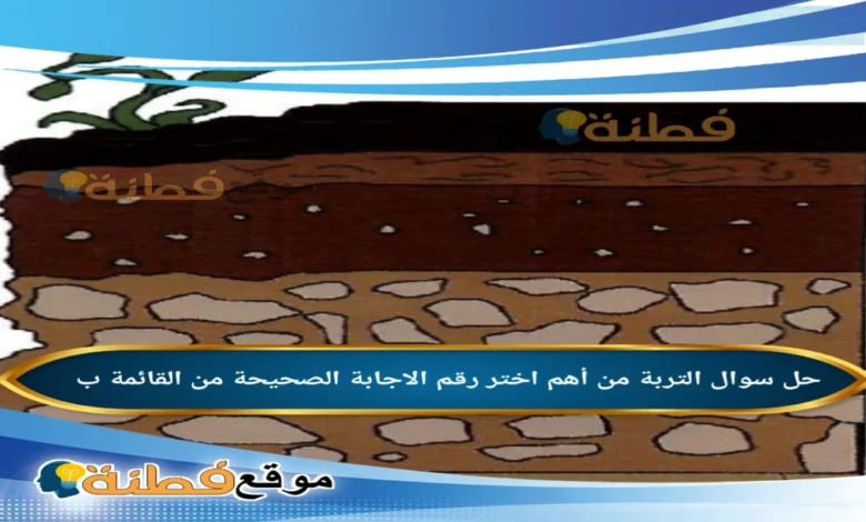 التربة من أهم اختر رقم الاجابة الصحيحة من القائمة ب