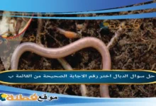 الدبال اختر رقم الاجابة الصحيحة من القائمة ب