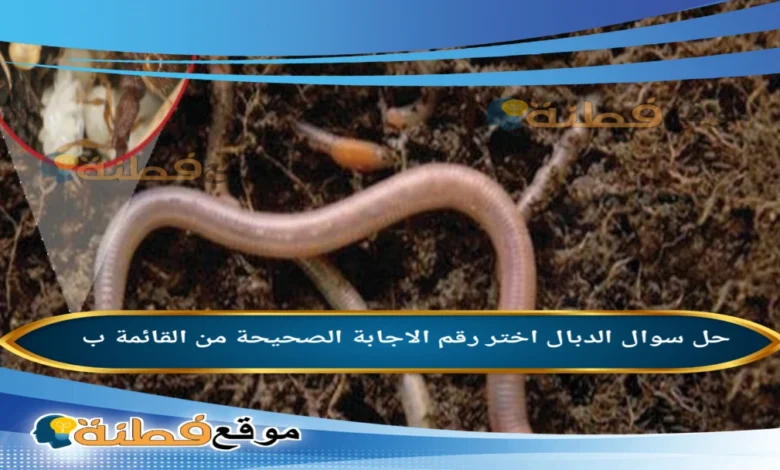 الدبال اختر رقم الاجابة الصحيحة من القائمة ب