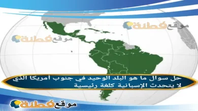 ما هو البلد الوحيد في جنوب أمريكا الذي لا يتحدث الإسبانية كلغة رئيسية؟