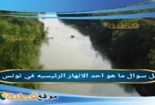 ما هو احد الانهار الرئيسيه في تونس