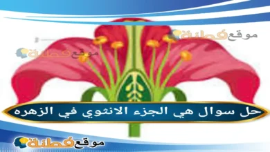 هي الجزء الانثوي في الزهره