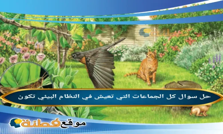 كل الجماعات التي تعيش في النظام البيئي تكون