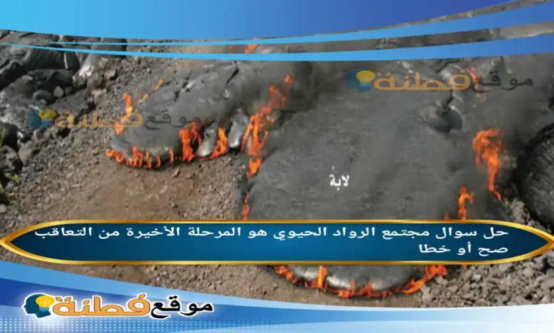 مجتمع الرواد الحيوي هو المرحلة الأخيرة من التعاقب صح أو خطا