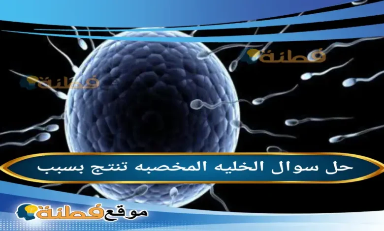 الخليه المخصبه تنتج بسبب