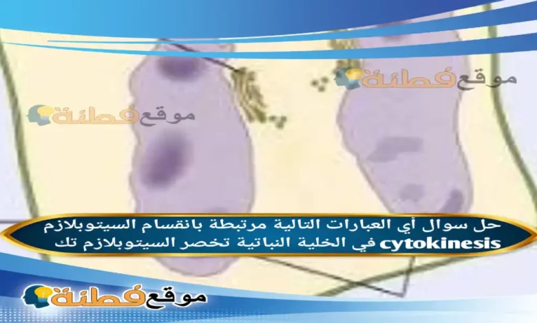 أي العبارات التالية مرتبطة بانقسام السيتوبلازم cytokinesis في الخلية النباتية تخصر السيتوبلازم تك